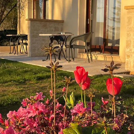 Del Pechs - Avec Terrasse מלון 3*