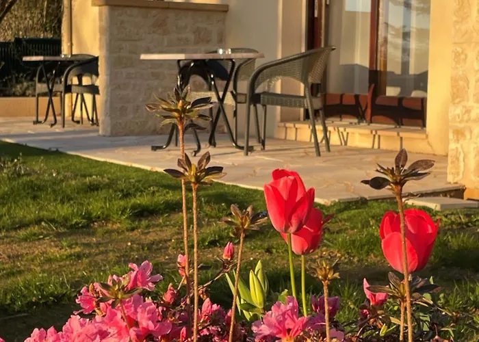 Del Pechs - Avec Terrasse 酒店 3*