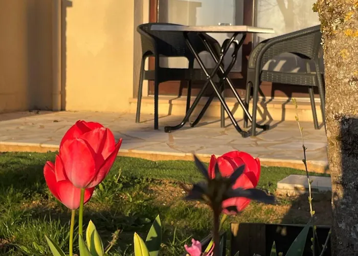 Hotel Del Pechs - Avec Terrasse